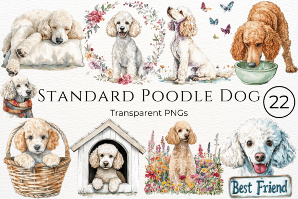 Download Standard Poodle Dog Watercolor Clipart - Watercolor clipart Collection
