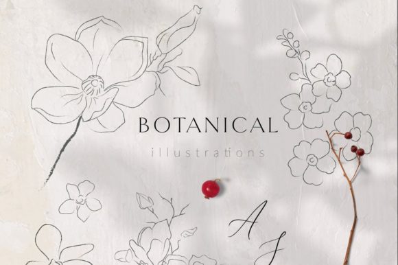 Download Line Drawing Botanicals, Plants. Brushes - Drawing Collection