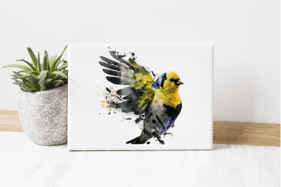 Download Bird Digital Illustration Graphic - Digital illustration Collection